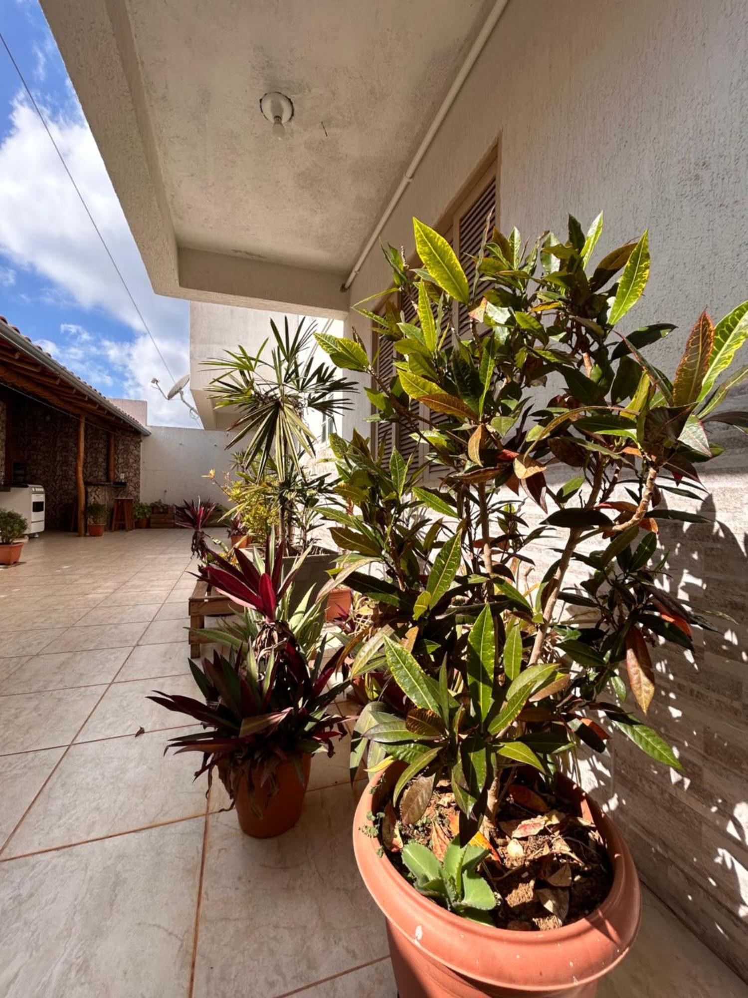 Thiferer Hostel Viçosa エクステリア 写真